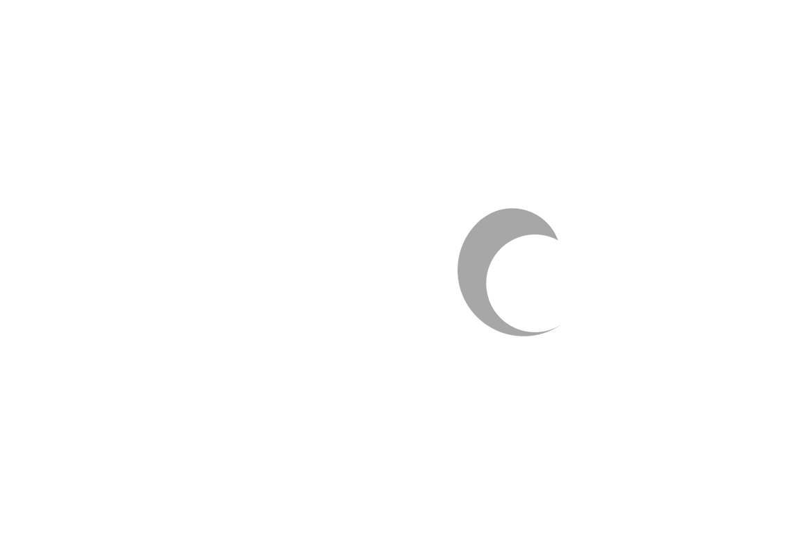 VISION Logo